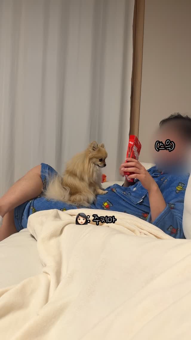 k_yanggaeng 게시물 이미지: 엄마 몰래 아빠한테 빼빼로 얻어먹다 걸린 갱이씨