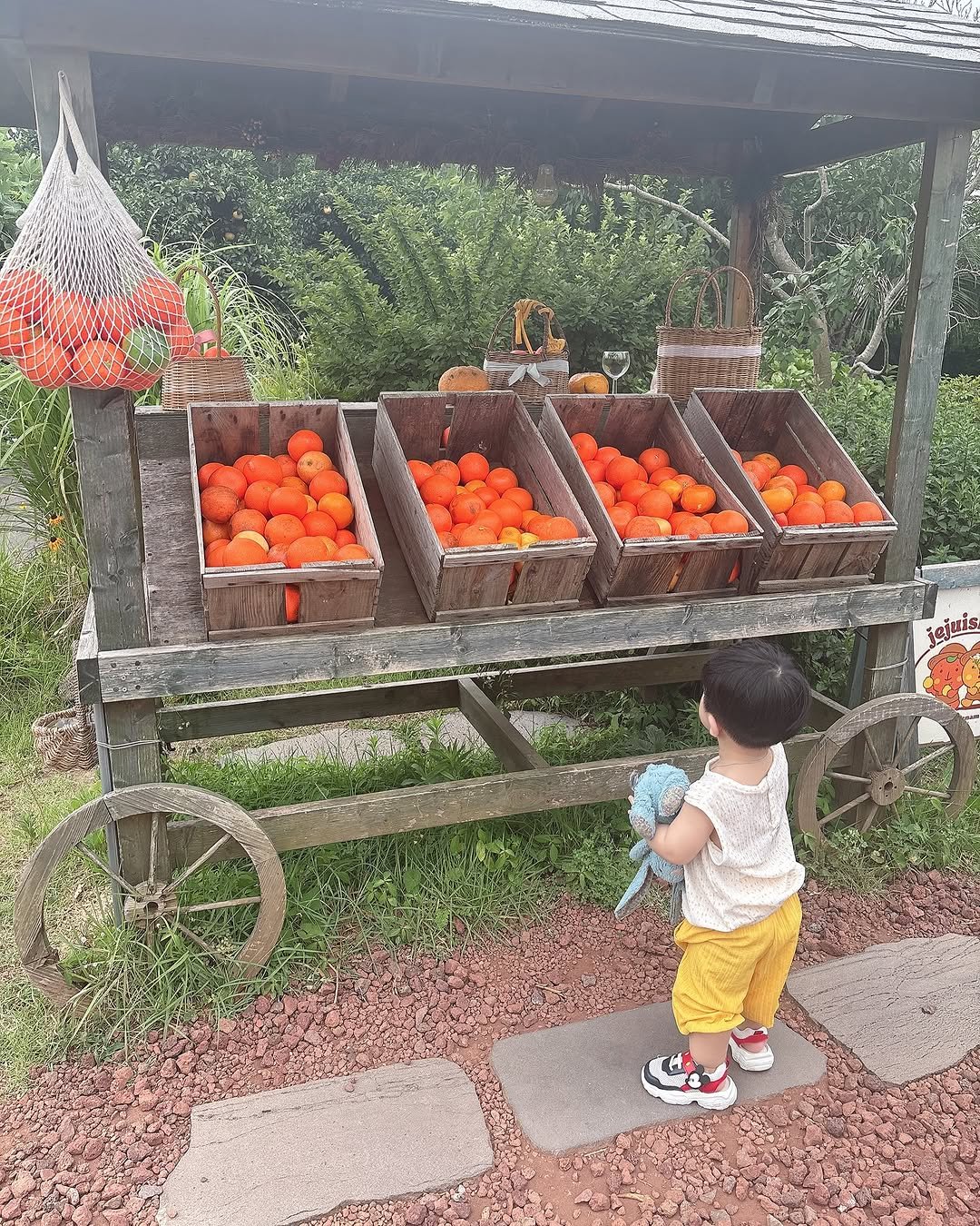 Photo by 은총 | 의진이네 🏡 on July 14, 2025. May be an image of 1 person, baby, pomelo, mandarin and text.