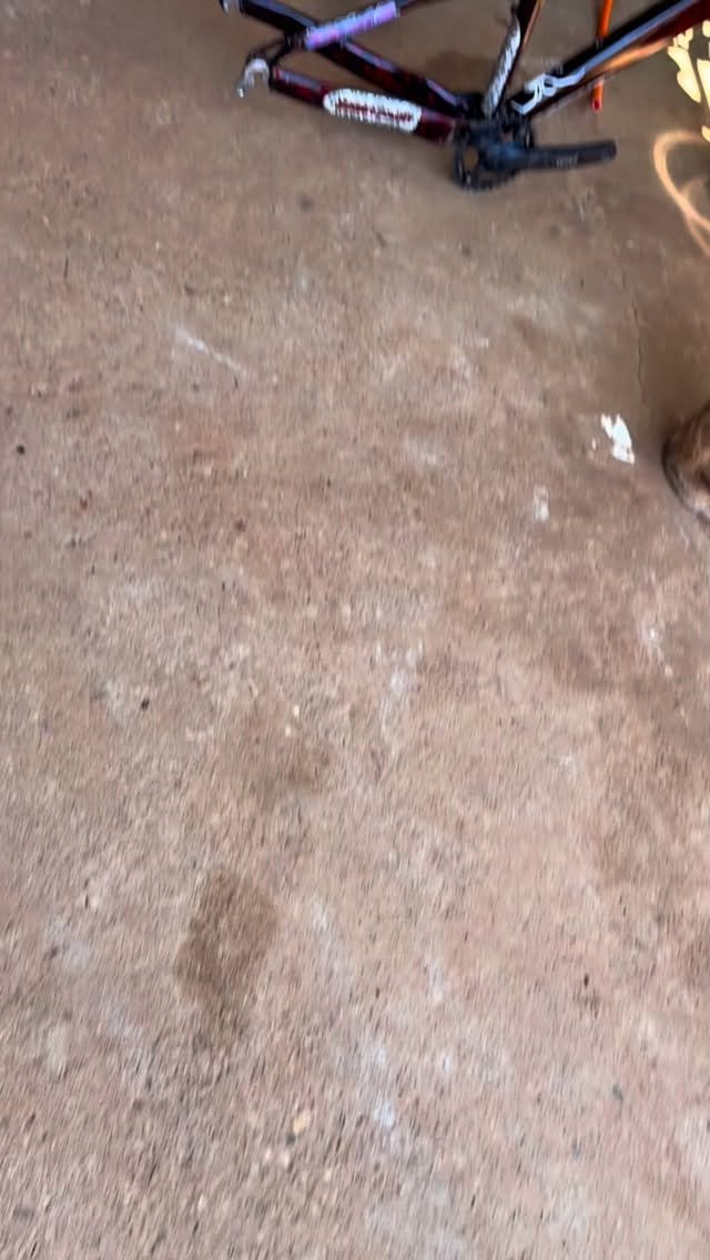 kaiozera46 게시물 이미지: BIKE FRANKENSTEIN PT2🔥 Siga @kaiozera46...