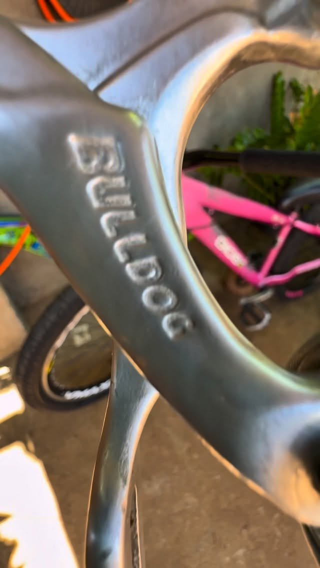 kaiozera46 게시물 이미지: FREIO BULLDOG NA GIOS😍🩷 Siga @kaiozera46...