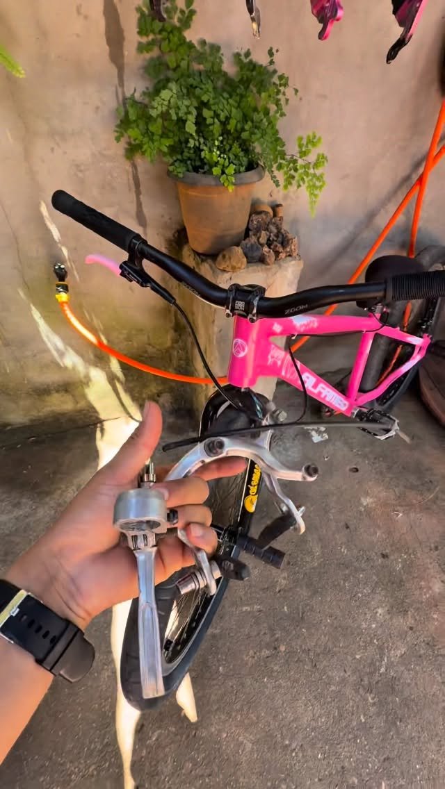 kaiozera46 게시물 이미지: ROSINHA NO PADRÃO 😈 Siga @kaiozera46...