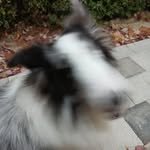 kakakakawaiovo 인스타그램 프로필 사진