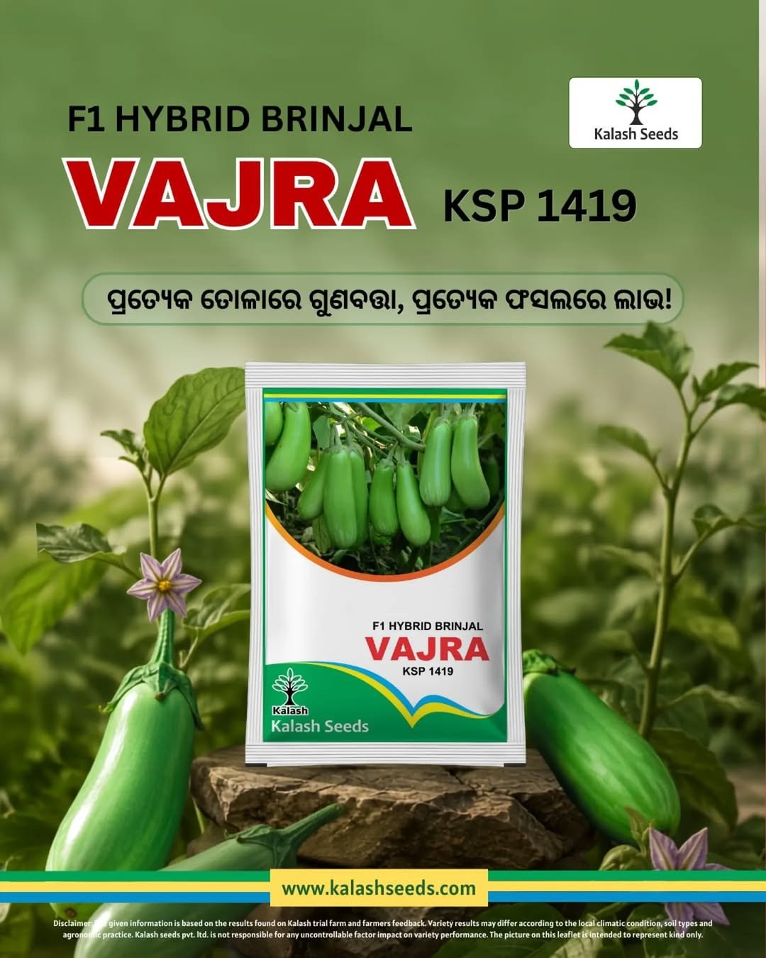 Kalash Seeds, Vajra KSP 1419, F1 Hybrid Brinjal, Hybrid Brinjal Seeds, Brinjal Seeds India, Green Brinjal Seeds, Long Green Brinjal, Commercial Brinjal Farming, High Yield Brinjal, Best Brinjal Seed Variety, Eggplant Hybrid Seeds, Vegetable Seeds India, Premium Brinjal Seeds, Farmers Choice Seeds, Agriculture India, Vegetable Farming, KSP 1419 Brinjal, Hybrid Eggplant Seeds, High Quality Brinjal, Kalash Hybrid Seeds