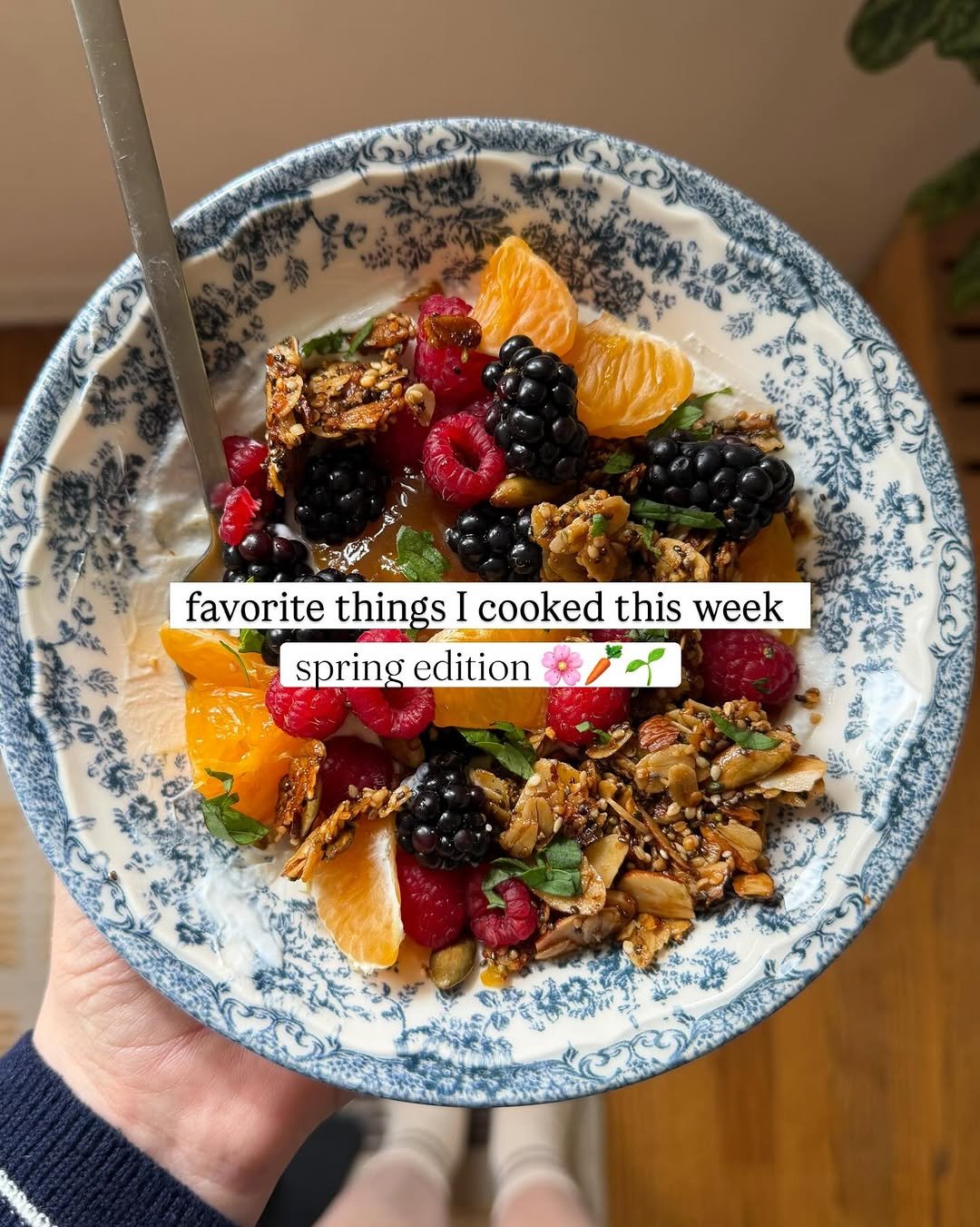 Photo by Carina Wolff on March 22, 2026. May be an image of fruit, yogurt, cereal, granola, fruit salad and text.