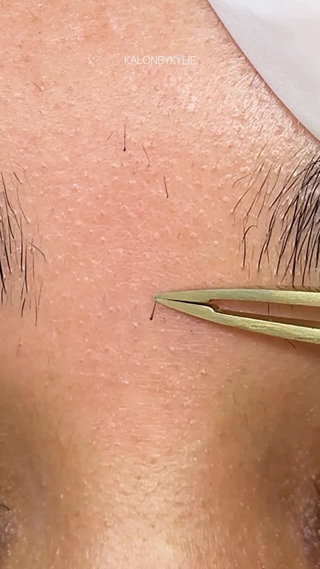 kalonbykylie 게시물 이미지: That wax, yes. BUT THAT TWEEZER...