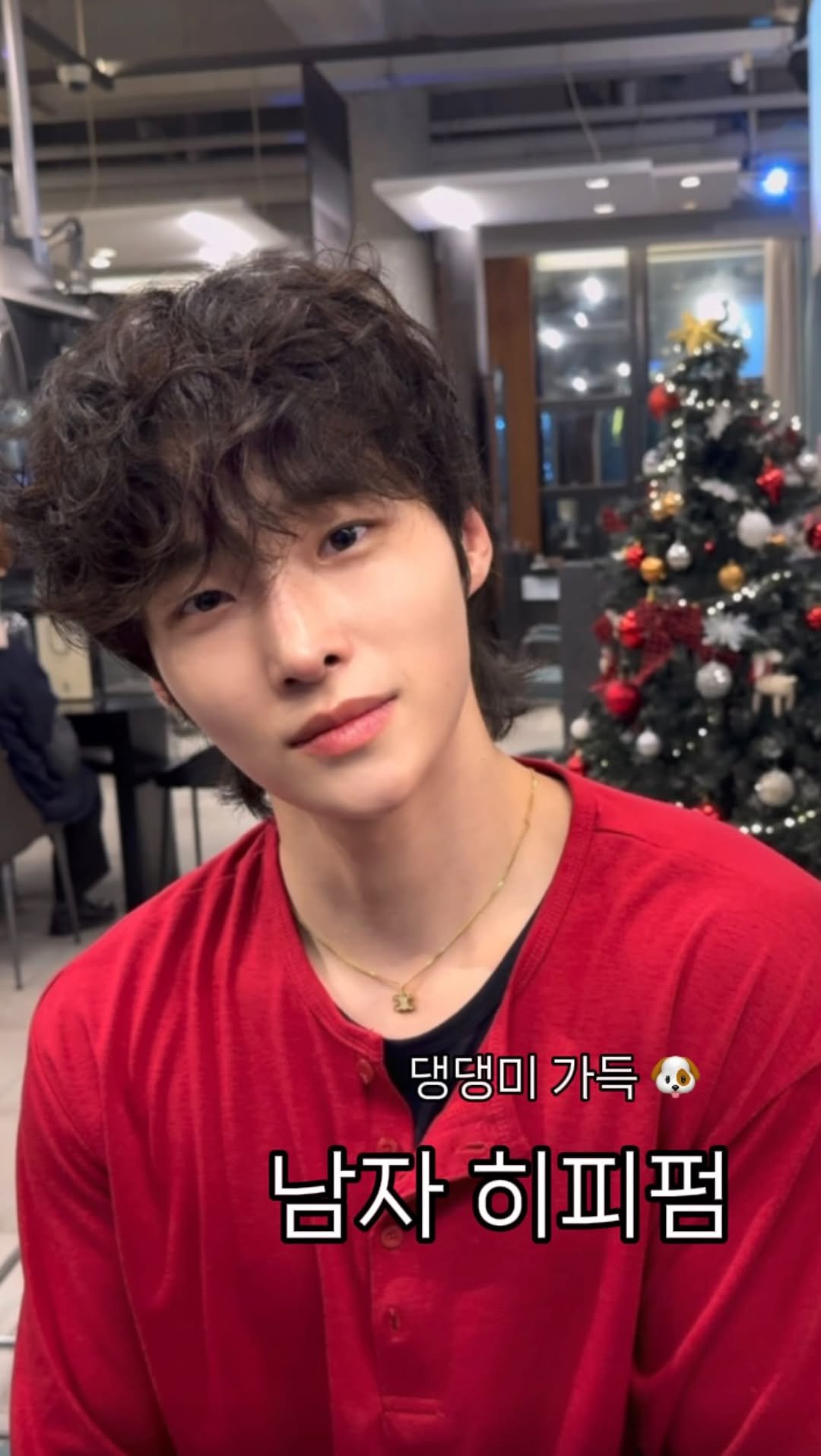 kan_hyeon_bae_ 게시물 이미지: 크리스마스 남자친구는 댕댕미 🐶

히피펌으로 귀엽게💕

#세미히피펌 #히피펌 #댕댕미 #댕댕펌