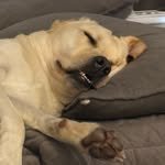 c.minnn_ 프로필 사진