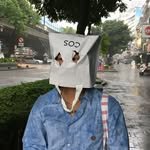 onion_1992 프로필 사진