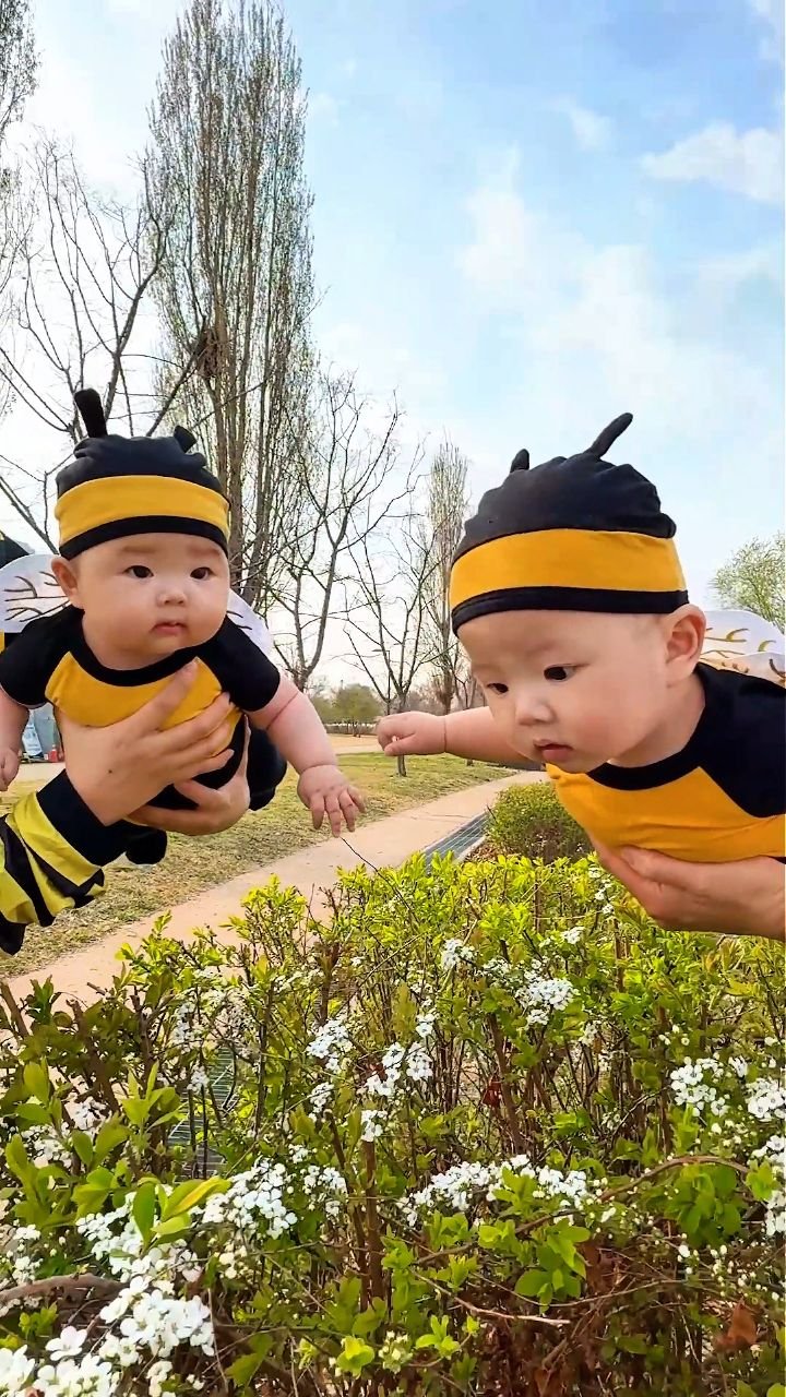 kangdantwins 게시물 이미지: 윙~~🐝강단이 벌한테 쏘이실분?!😊 #강단남매 #벚꽃 
강벌 단벌의 개인 영상은...
