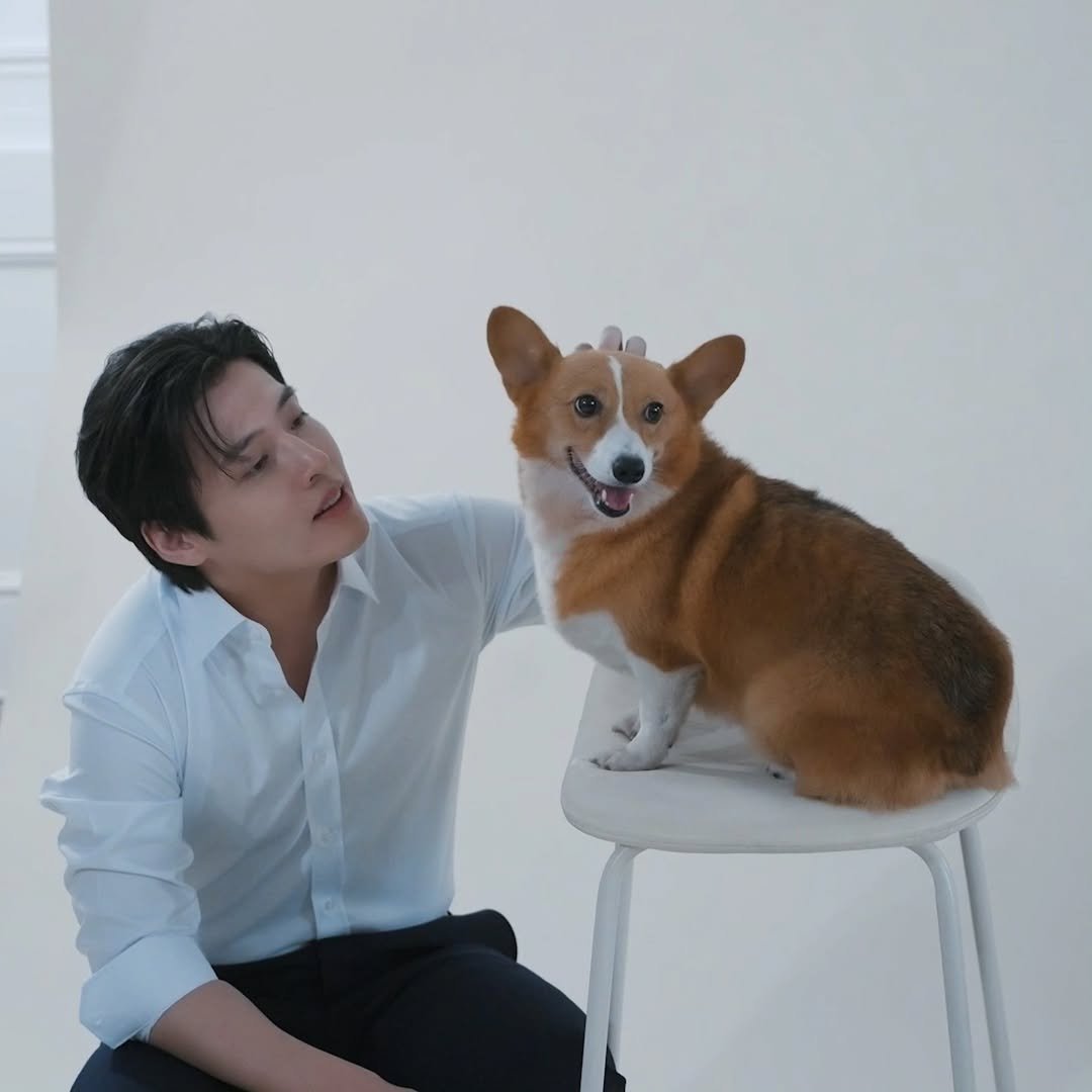 Photo shared by 강하늘 on November 21, 2025 tagging @boramgroup_official.