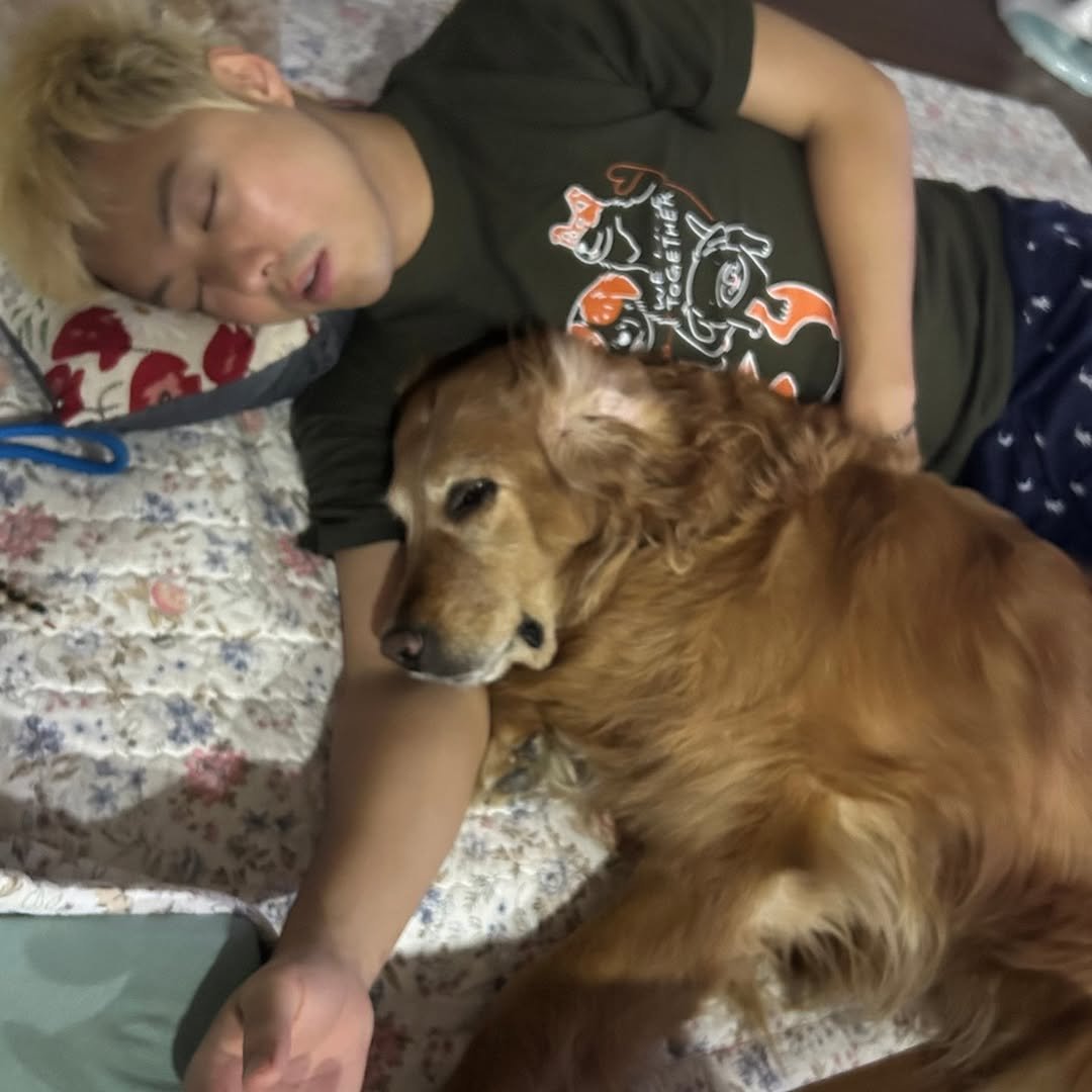 Photo by 강남 カンナム KANGNAM on October 04, 2025. May be an image of 1 person, sleeping, golden retriever, cocker spaniel and text.