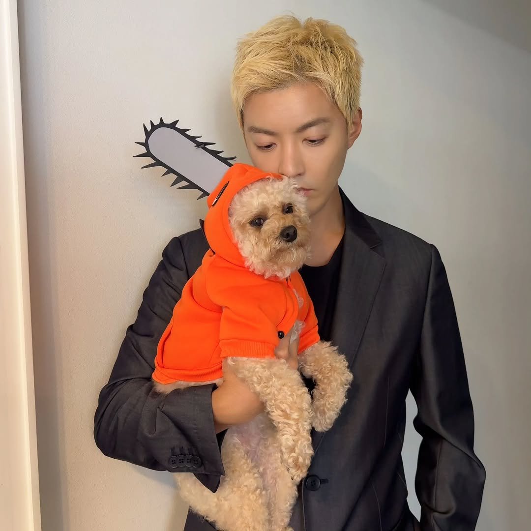 Photo by 강남 カンナム KANGNAM on October 31, 2025. May be an image of Norwich terrier, Maltese, Pekinese, chainsaw and text.