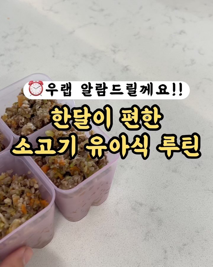 kangms_msy 게시물 이미지: 📍공구중(9/28까지) 댓글에 <알람>남겨주시면 구매링크 바로...
