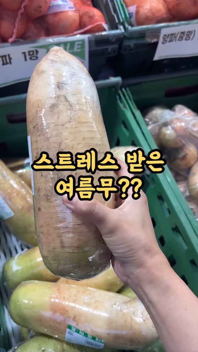 kangms_msy 게시물 이미지: 📍공구중(8/9)쓴맛 매운맛 여름무 가을무처럼 달달하게 만들기 : 시들무...