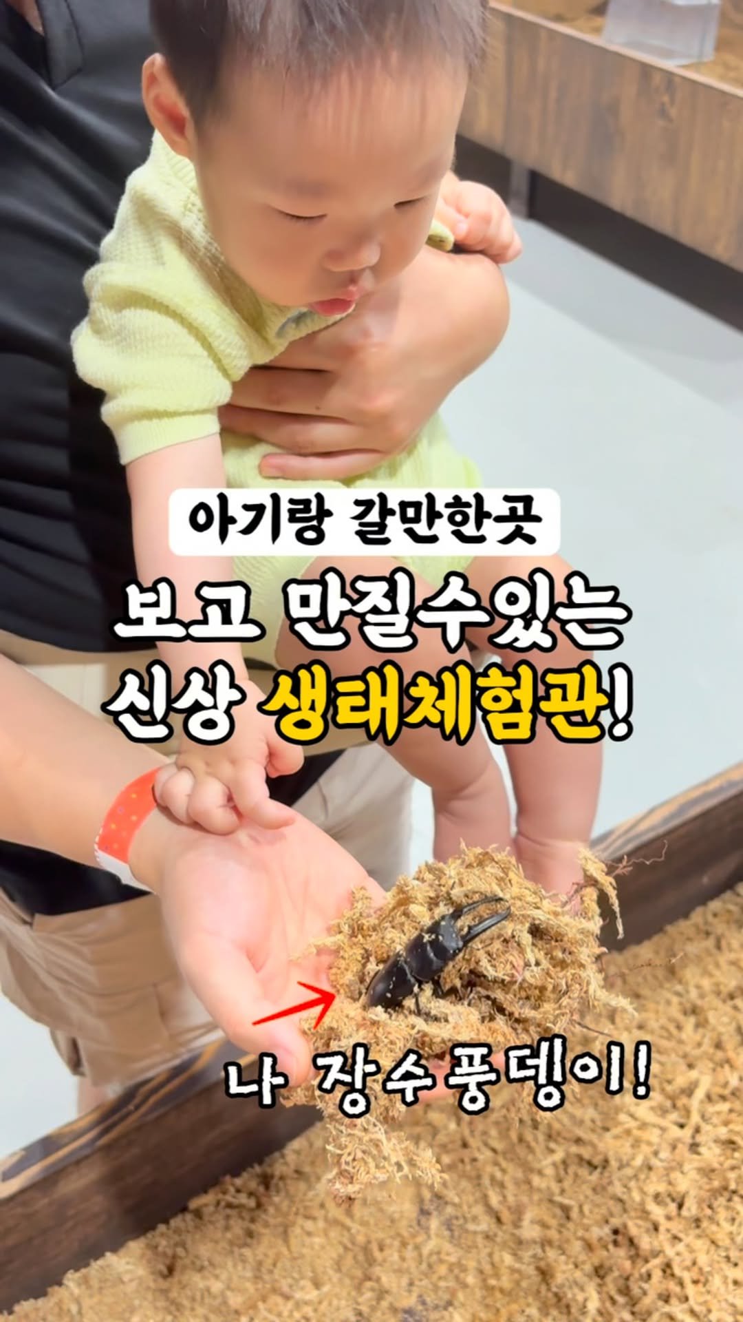 kangyoon_mom 게시물 이미지: 강윤맘 나들이 정보 - 10번째❤️
87만 유튜버 “생물도감”이 만든 생태체험관!...