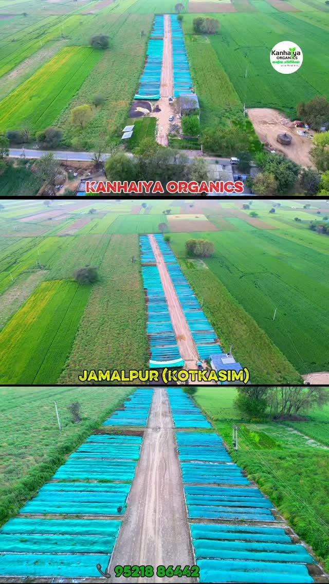 kanhaiya_organics 게시물 이미지: #vermicompost #organicfarming #trendingnow...