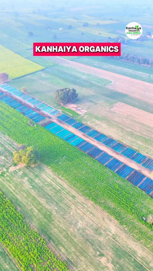 kanhaiya_organics 게시물 이미지: #vermicompost #fatming #organicfarming #kisan...