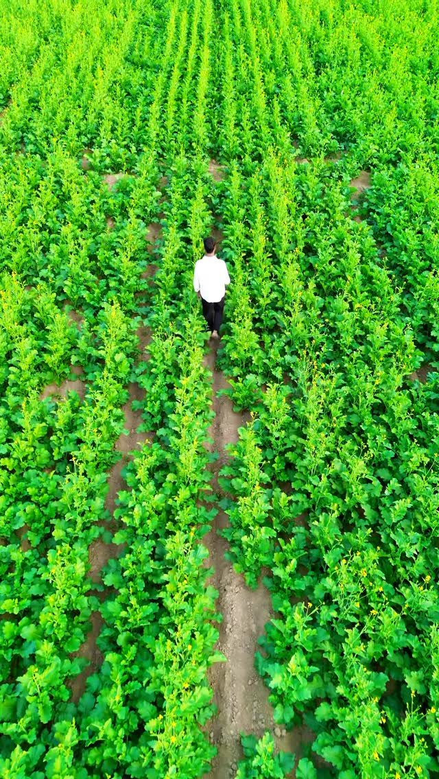 kanhaiya_organics 게시물 이미지: #drone
#dronevideo
#dronephotography
#dronestag...