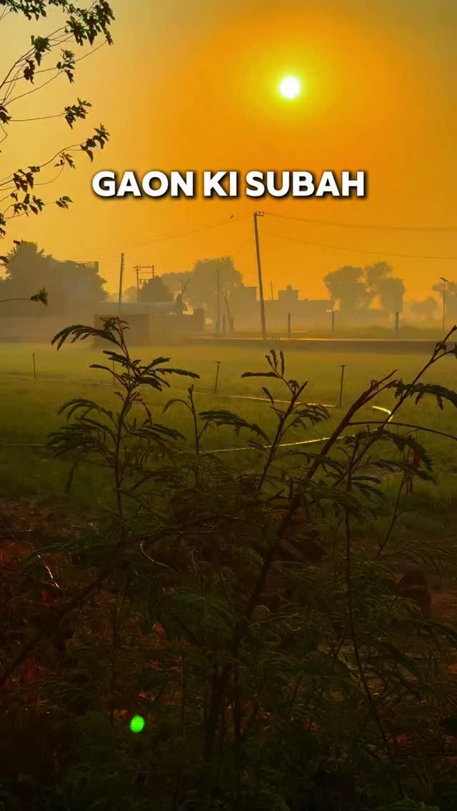 kanhaiya_organics 게시물 이미지: Good Morning...