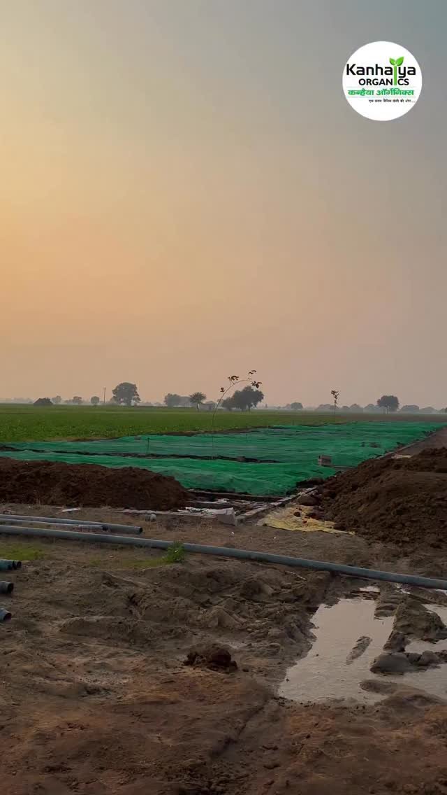 kanhaiya_organics 게시물 이미지: कैसे लाल होगयी ये पूरी ज़मीन ...