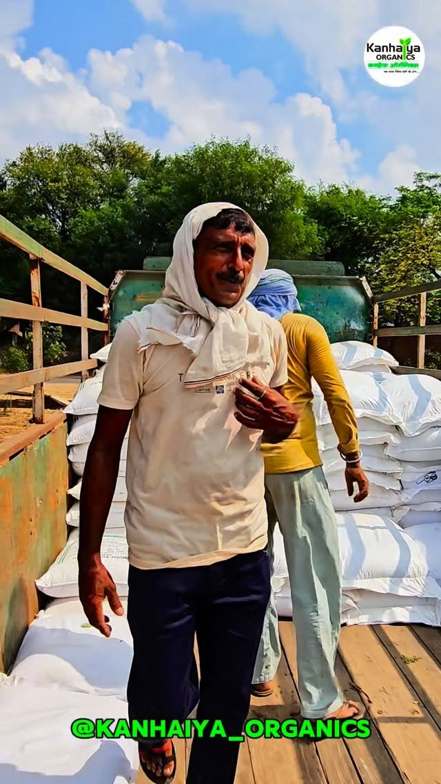 kanhaiya_organics 게시물 이미지: #vermicompost #vermicomposting #vermiculture...