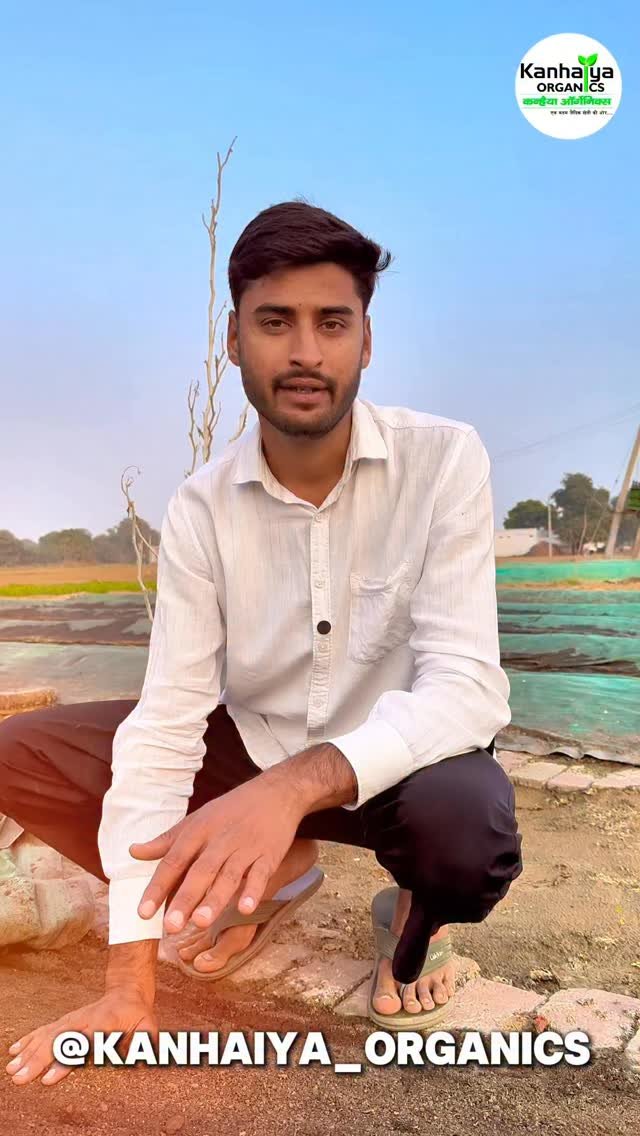 kanhaiya_organics 게시물 이미지: #vermicompost
#vermicomposting
#vermicompostpla...