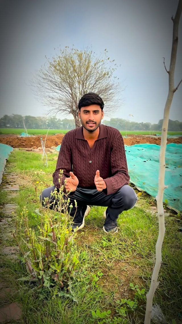 kanhaiya_organics 게시물 이미지: #vermicompost #farming #agriculture #reels #trending