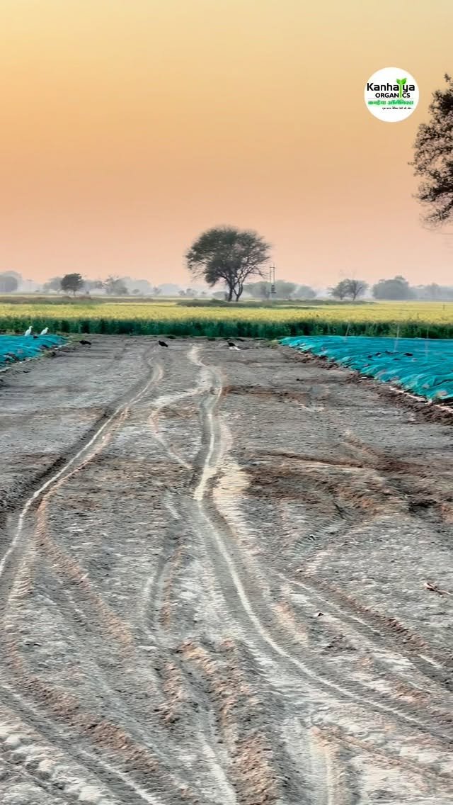 kanhaiya_organics 게시물 이미지: #vermicompost #organicfarming #farming...