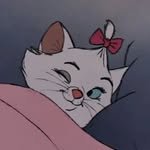 pc_lyc 프로필 사진