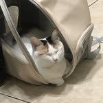 doodookiiiiii87 프로필 사진