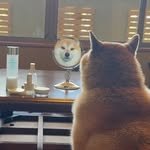 yukiiii__2 프로필 사진