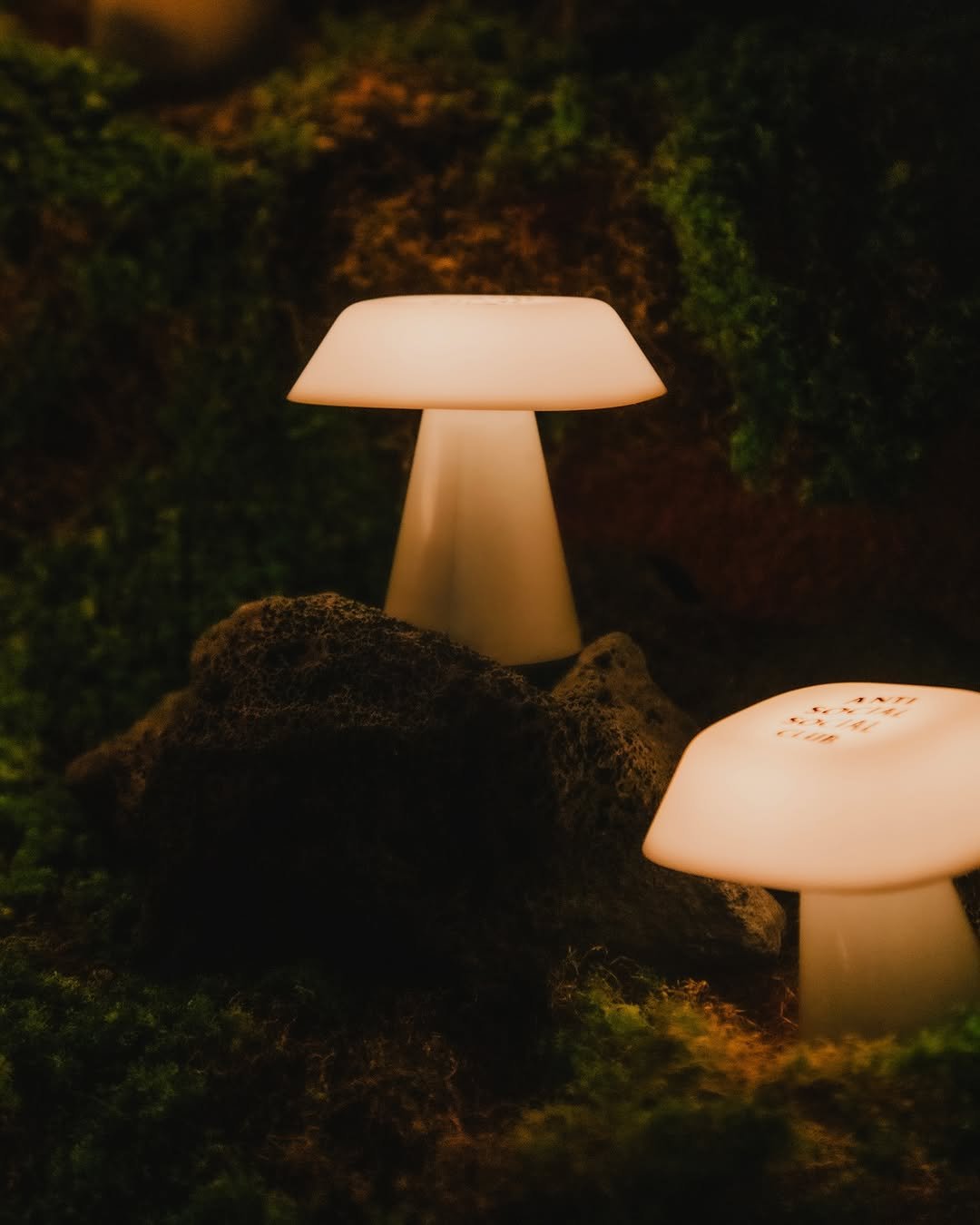 Photo by Kasina_Hannam on October 14, 2025. May be an image of lamp, mushroom, lamp shade and text.