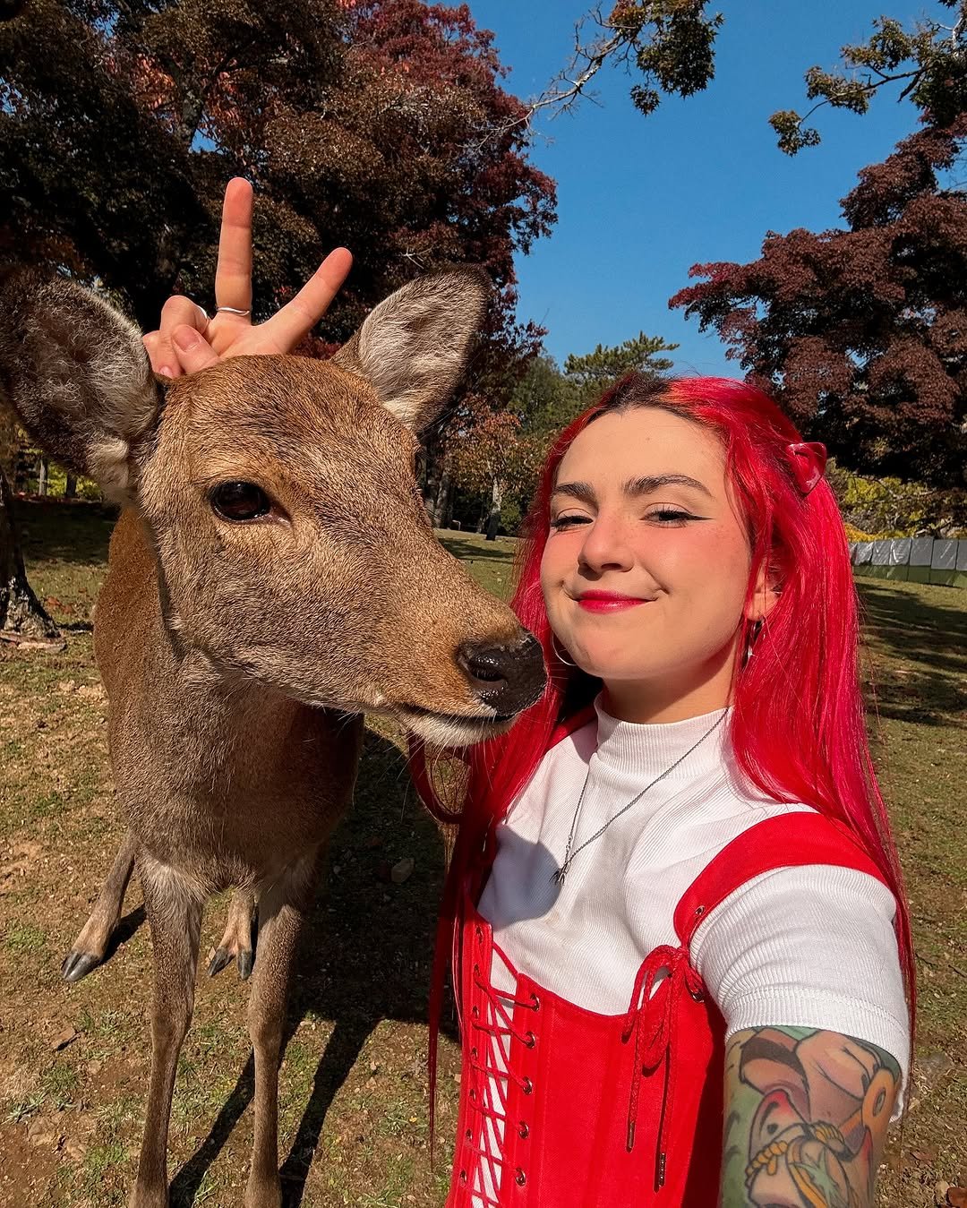 Photo by Катя Войнова - это Вдохновение и Лонгборд on November 17, 2025. May be an image of deer, dirndl, costume and text.