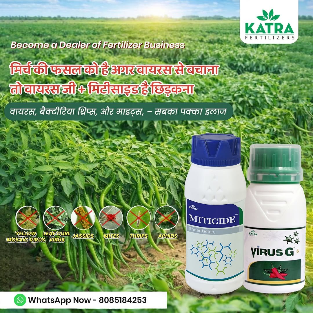 katrafertilizer 게시물 이미지: मिर्च की फसल में नुकसान का सबसे बड़ा कारण क्या...