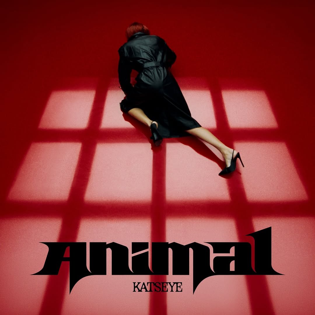 katseyeworld 게시물 이미지: Animal SINGLE RELEASE
JULY 23 9PM PT | JULY 24 12AM ET
