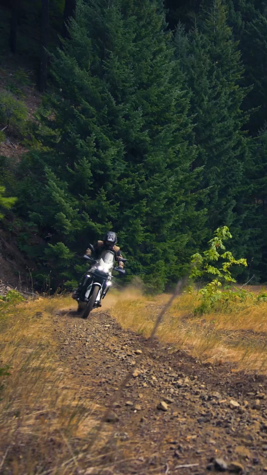 kawasakiusa 게시물 이미지: Where the road ends, the adventure...