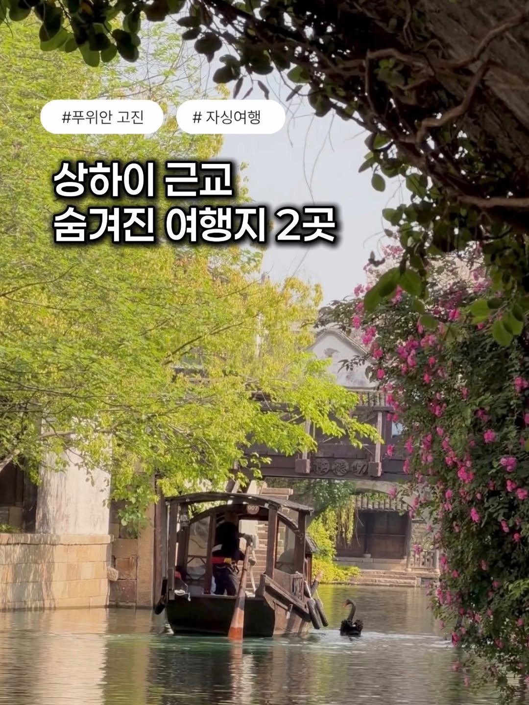kaylee_travel_ 게시물 이미지: 상하이 근교 여행지 2곳 딱 정리해드려요(일단 공유✈️) *제작지원

이렇게 가까운...