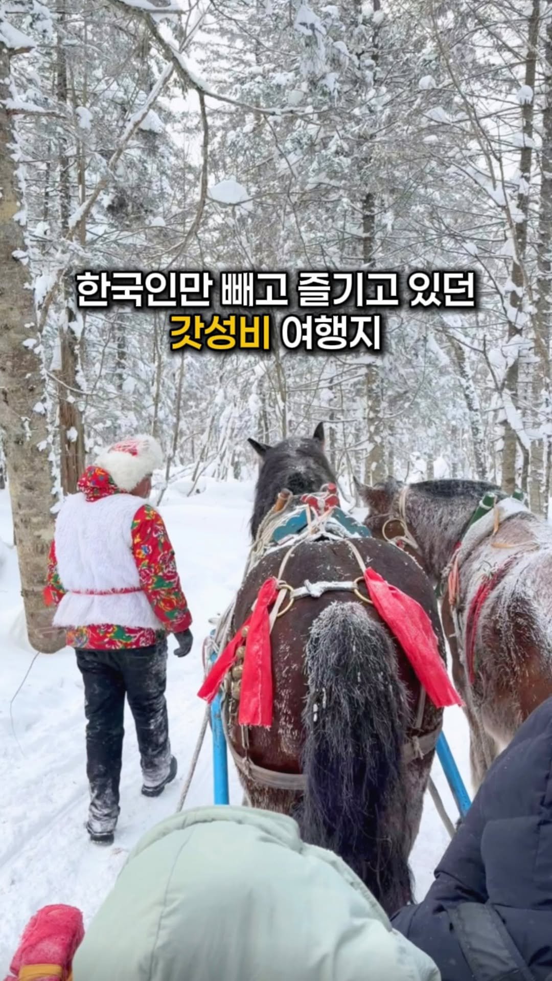 kaylee_travel_ 게시물 이미지: 다음 중국 여행지는 여기라며⁉️ (일단 공유) #제작지원

지금 무비자+갓성비라...