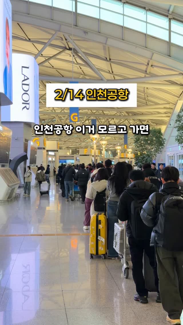 kaylee_travel_ 게시물 이미지: 공항에서 비행기 놓치기 싫으면 ❗️꼭 알아야 하는 5가지 꿀팁 (일단 공유)

명절...