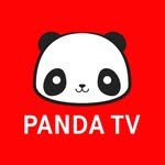 pandatv_ch 프로필 사진
