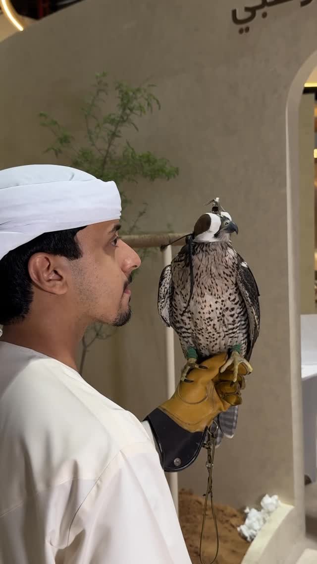 kbo 게시물 이미지: Adihex Day #Abudhabi #adihex2025 #falcon @adihex