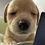 1.3.mouse_rider 프로필 사진