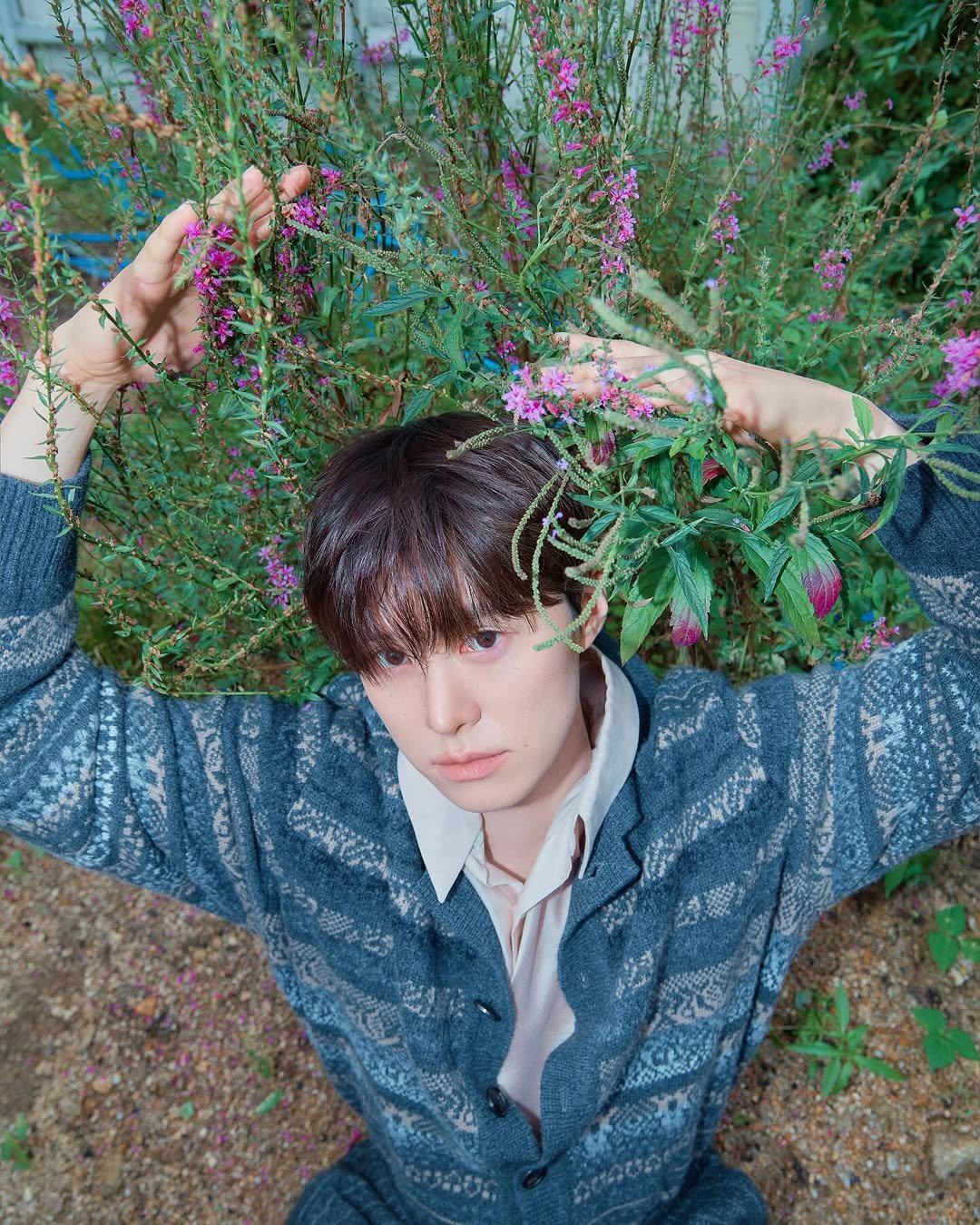 Photo shared by 김신애 on November 18, 2025 tagging @marieclairekorea, @0myoung_0526, and @jisuu_uuu. May be an image of bolo tie, scorpion grass and text.