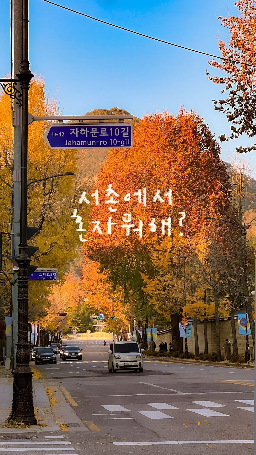 keemzozal 게시물 이미지: (저장) 취향 찾아 떠나는 서촌 혼놀코스 🚶💭

가을이면 항상 찾게 되는 서촌
조금...