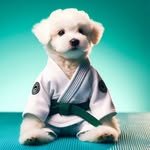 jiujitsu_lingo 프로필 사진