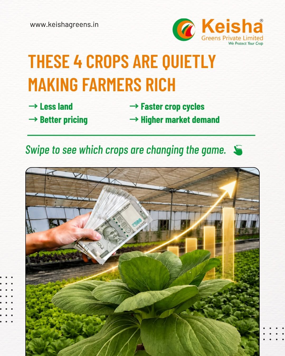 4 crops in modern farming systems are changing the lives of farmers across India. 🌱 

Better technology. Better growing processes. Better market opportunities. 📈 

Modern cultivation methods are helping farmers produce cleaner, premium-quality crops with improved consistency and stronger returns. 

From hydroponic leafy greens and herbs to cocopeat floriculture and cucumbers — controlled farming is creating new possibilities for progressive agriculture. 🚜 

At Keisha Greens, we help farmers build efficient and scalable farming projects with: 
→ Greenhouse solutions 
→ Hydroponic systems 
→ Cocopeat farming setups 
→ Irrigation planning 
→ Technical guidance 
→ End-to-end project execution 

The right farming infrastructure can completely change productivity and profitability. 💧🌿 

📩 Get a FREE estimate for your farming project today. 

#KeishaGreens #ModernFarming #Hydroponics #ProtectedCultivation #CocopeatFarming