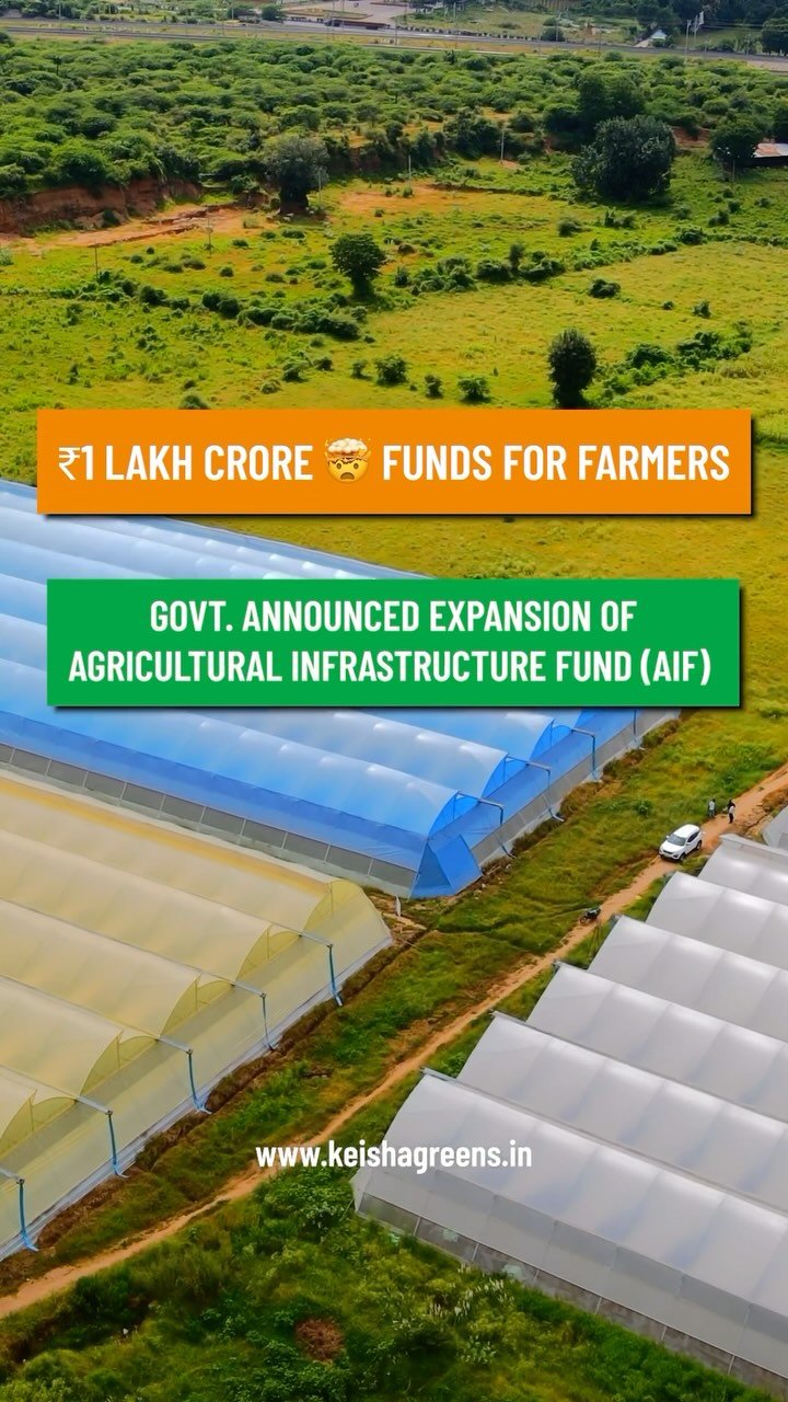 keishagreens 게시물 이미지: Agricultural Infrastructure Fund (AIF) 

Get...