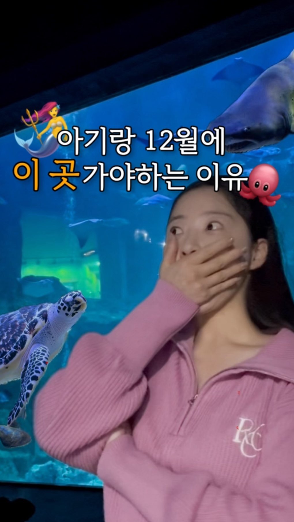 kelley_mom_dad 게시물 이미지: 📌아쿠아플라넷 공동구매 Coming soon

📅 공구기간 :...