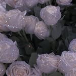 ___.woli 프로필 사진