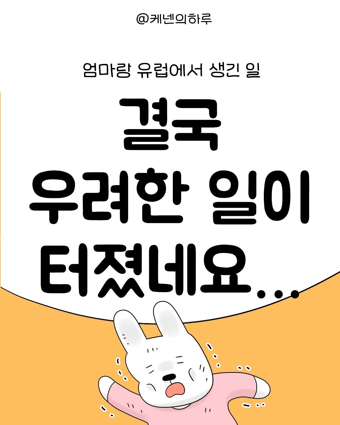 Photo by 갓생사는 케넨의 하루 | 조수정 on May 29, 2025. May be a cartoon of poster and text that says '@케넨의하루 엄마랑 유럽에서 생긴 일 결국 우려한 일이 터졌네요. ١'.